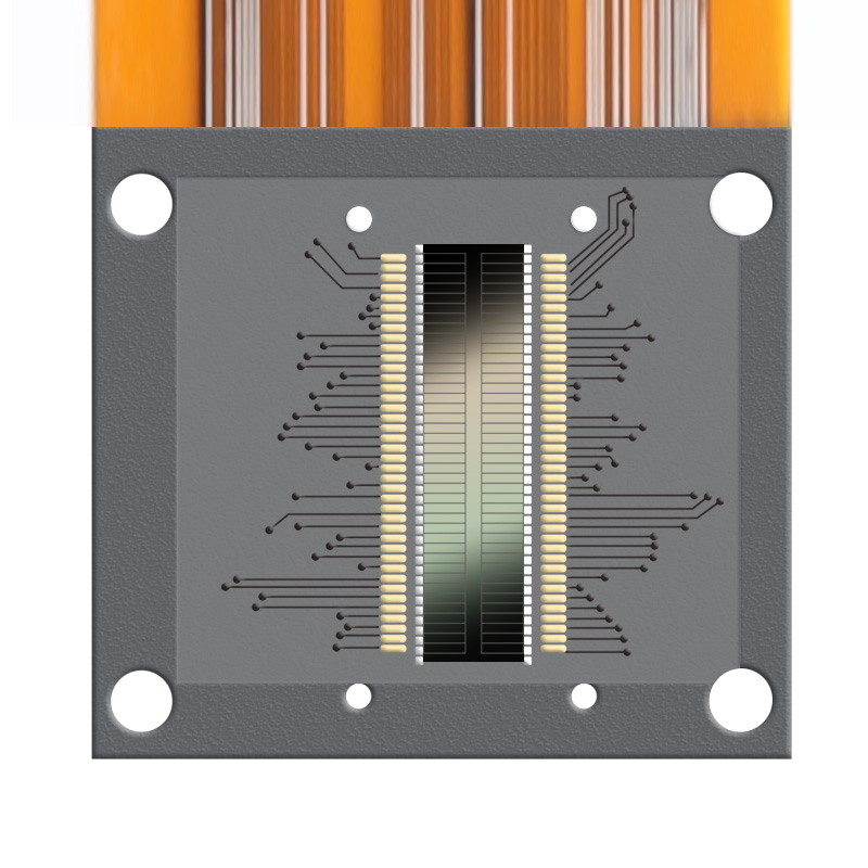 Large area photodiode array (dual 20 arrays) sensor