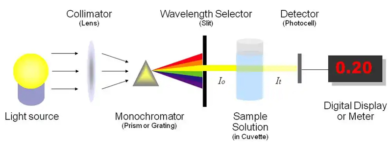 Spectrophotometry schematic diagram