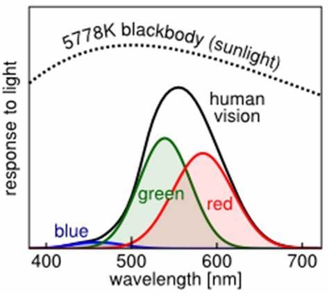 cones_to_equal-energy_light_stimuli.jpg