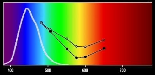 spectral_response_of_the_S_cone.jpg