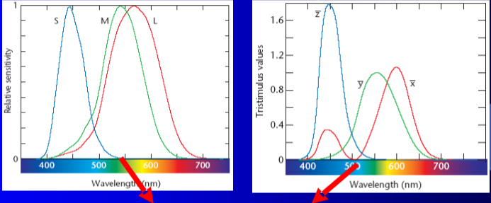 v2-f9c89151d02183df4c6287dbe6d5c7fe_1440w.png