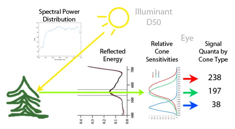 v2-36a7deaf9e204314de843f2c67e5f3e1_1440w.png Illumination light source reflects off the surface of an object images