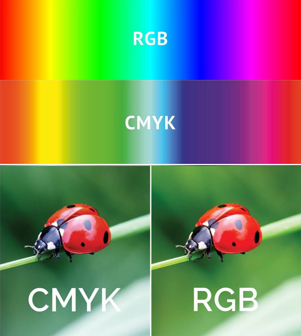 The Core Differences Between RGB and CMYK Color Models