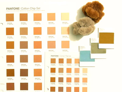 Click here for Pantone Explained: Guide to Color Matching and Color of the Year