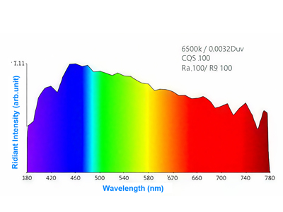  Click here for D65 vs. TL84 Light Sources: What’s the Difference?
